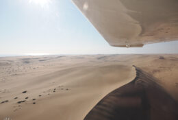 Namibia_August (108/135)